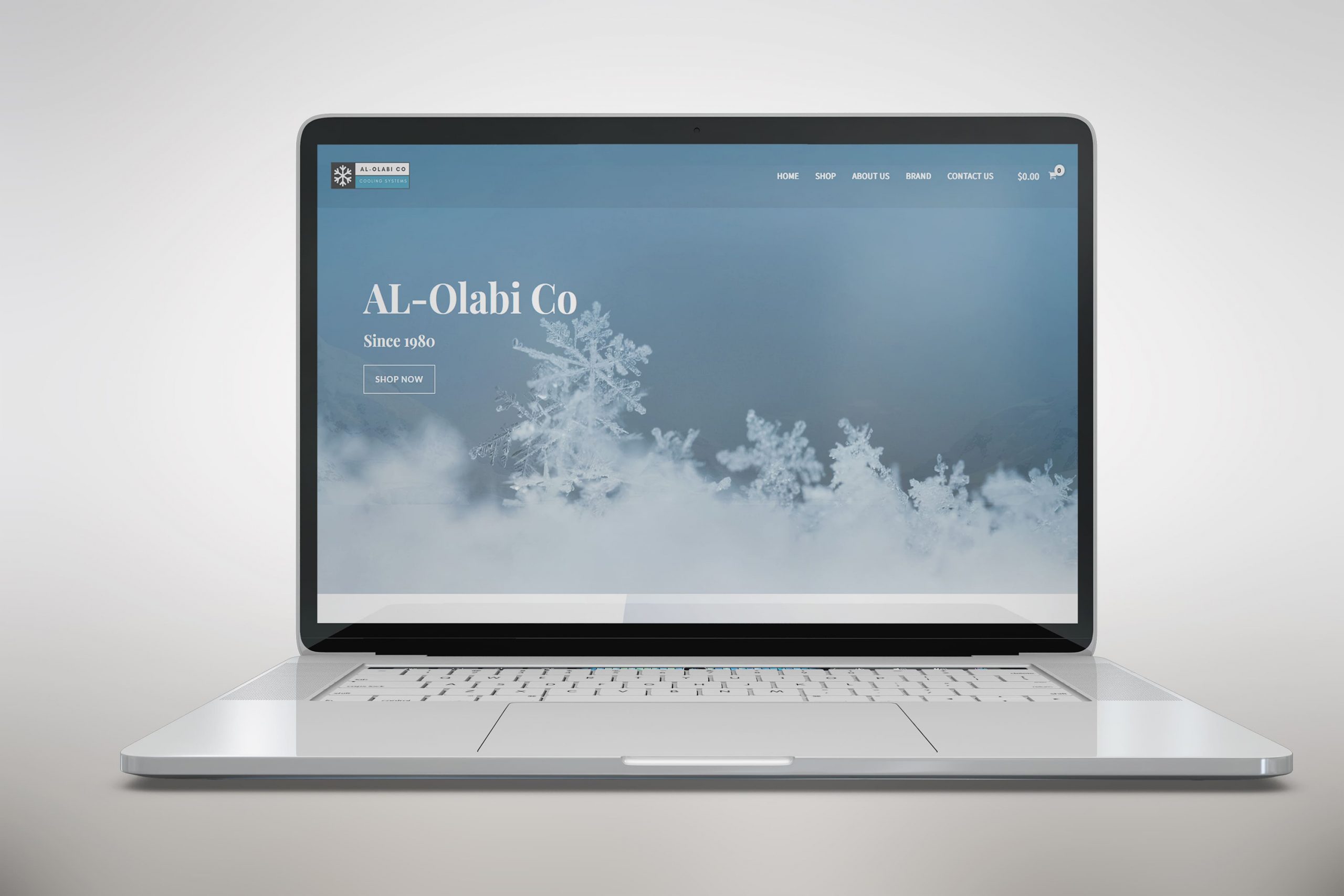 Al-Olabi Website